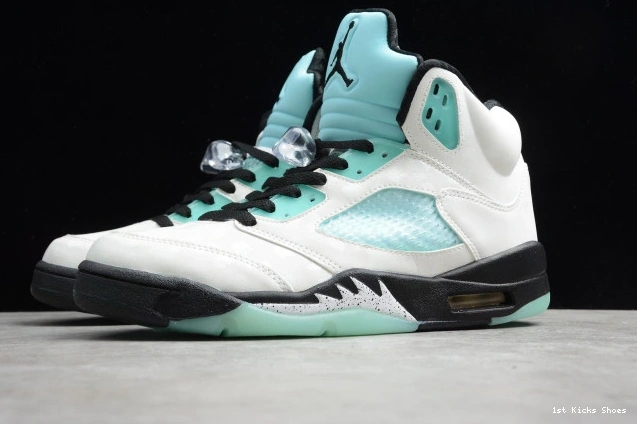 1st Kicks Shoes 5 Island GoAnywhere CN2932- Jordan Air Green 1087 1127